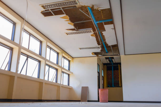 Best Flood restoration services  in Bushyhead, OK