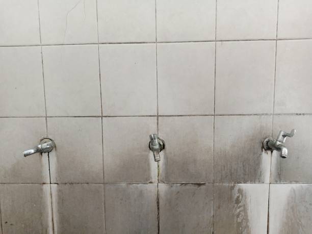 Best Water damage restoration mold remediation  in Bushyhead, OK