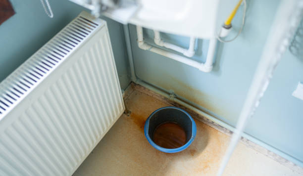 Best Commercial water damage restoration  in Bushyhead, OK