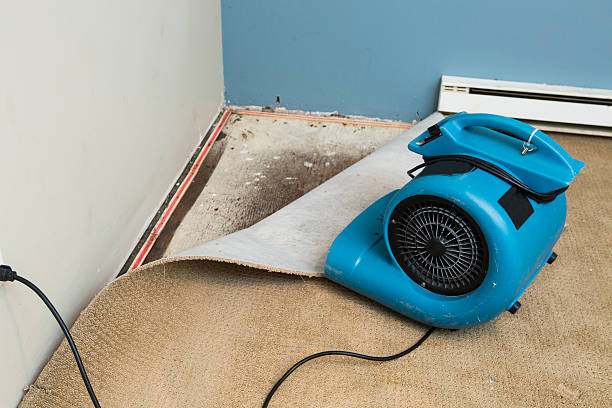 Best Water damage restoration cost  in Bushyhead, OK